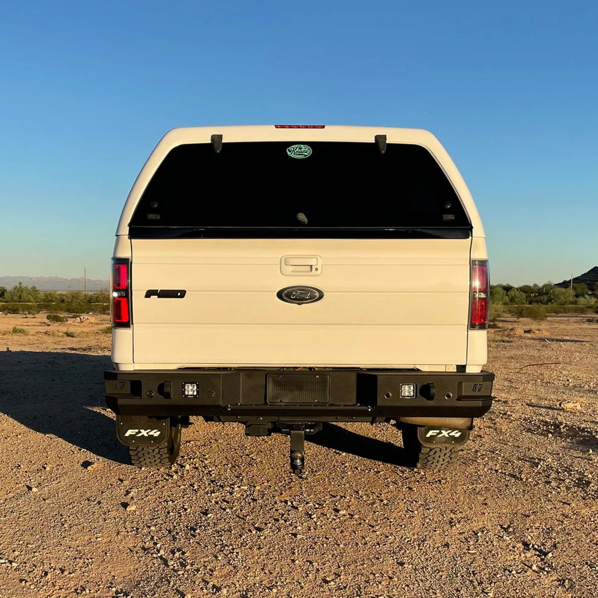 2009-2014 FORD F150 & RAPTOR OCTANE REAR BUMPER