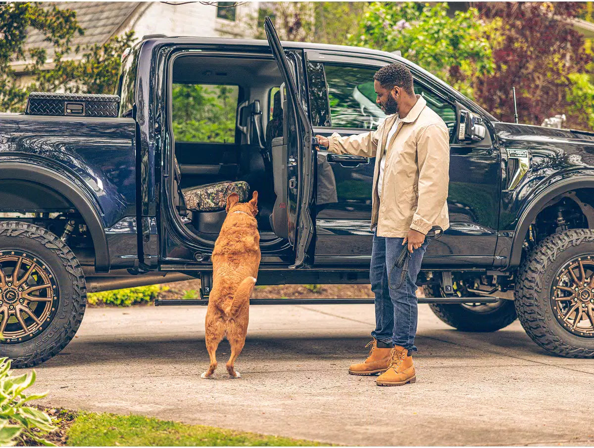 AMP Research PowerStep 15'-20' F150/Raptor