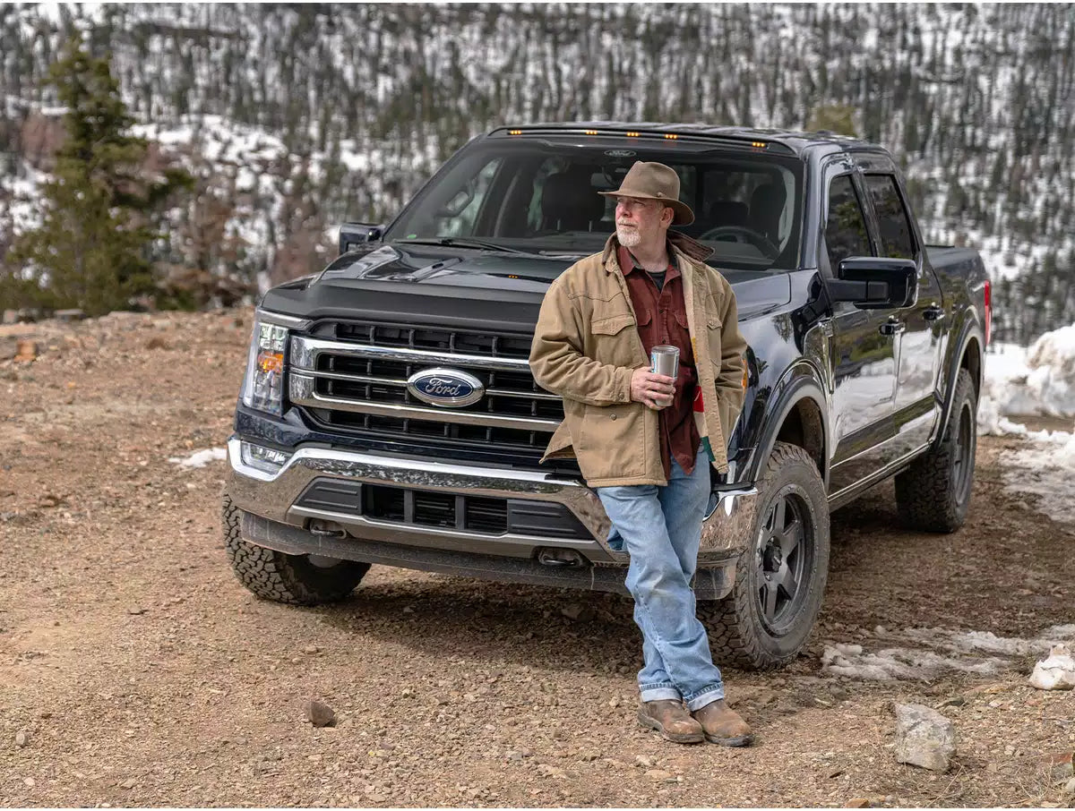AMP Research PowerStep 15'-20' F150/Raptor