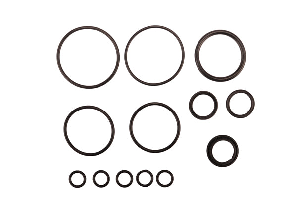 Radflo Seal Kit 3.0 1.0″ Bypass With Remote Reservoir