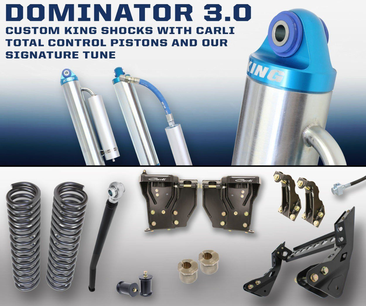 '08-10 Ford F250/350 3.0 Dominator System-4.5" Lift Display of Included Parts