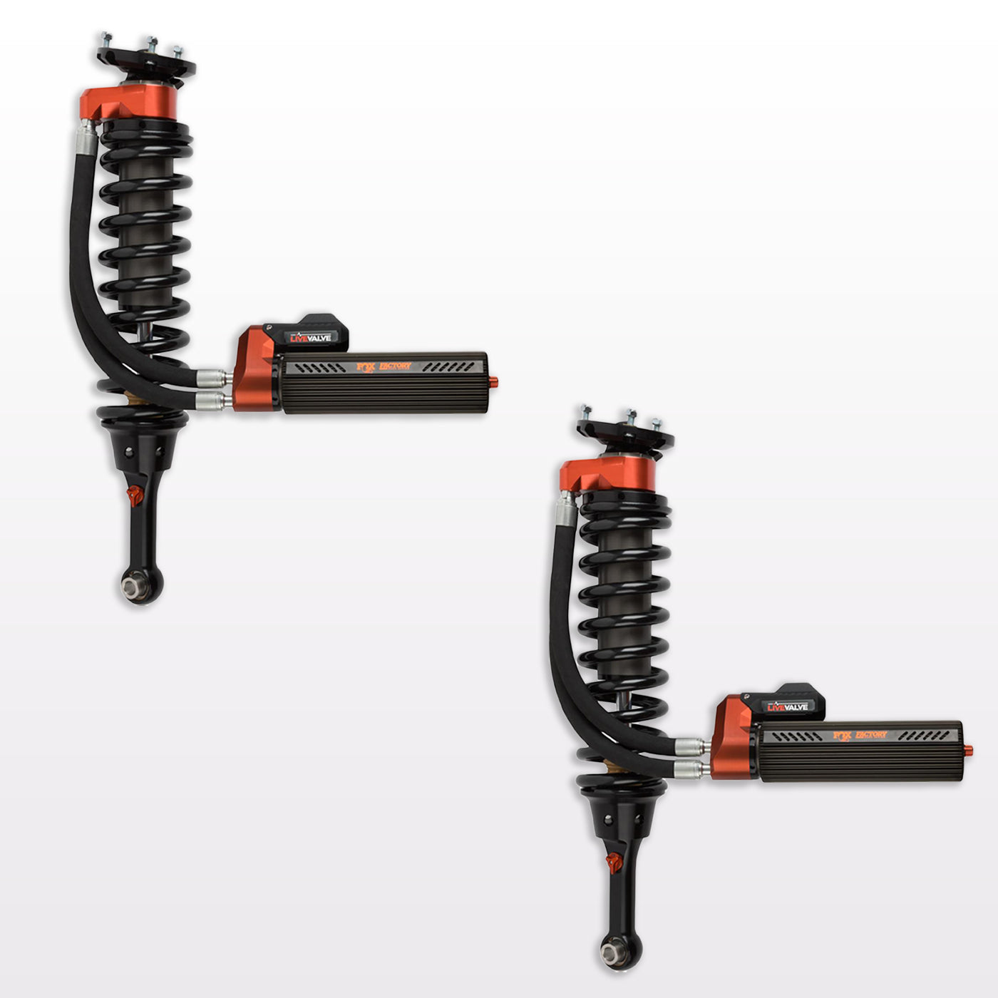 '19-20 Ford Raptor Fox Factory Race Series 3.0 Live Valve Internal Bypass Coilovers & PB Rear Shock Package Display of Included Parts