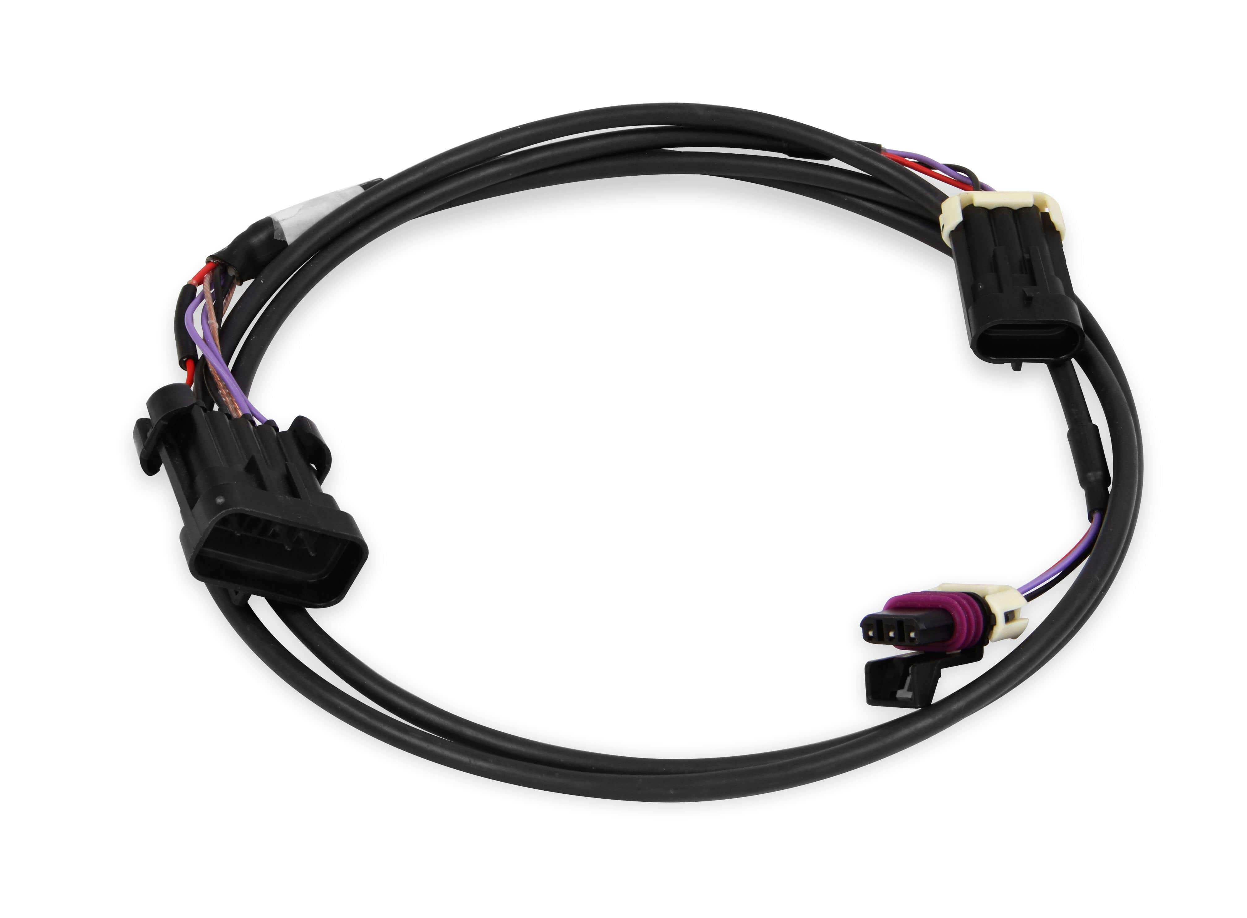 Holley EFI Systems Wiring Harness Display