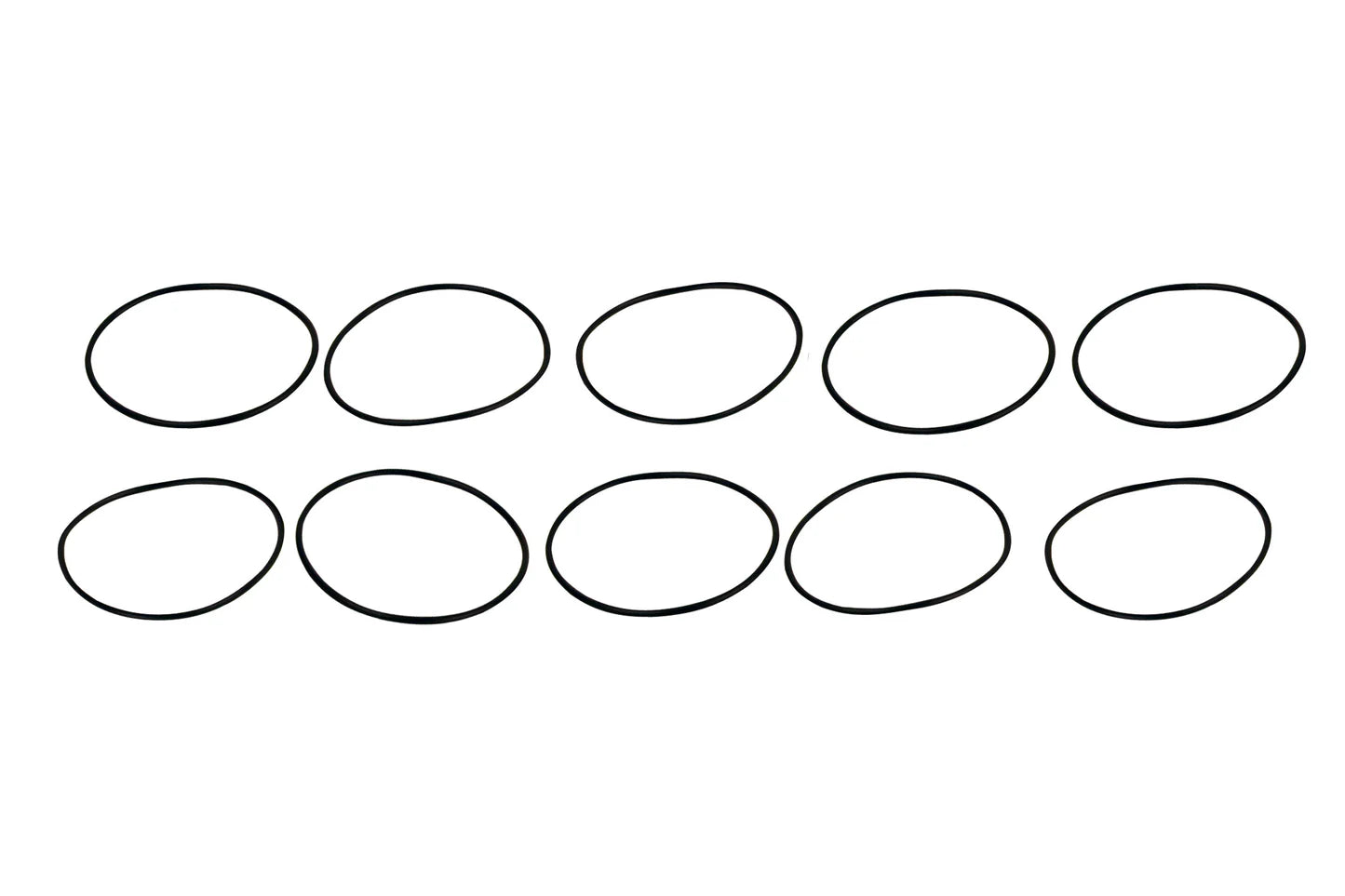 2" Filter Body 10-pack Replacement O-Rings