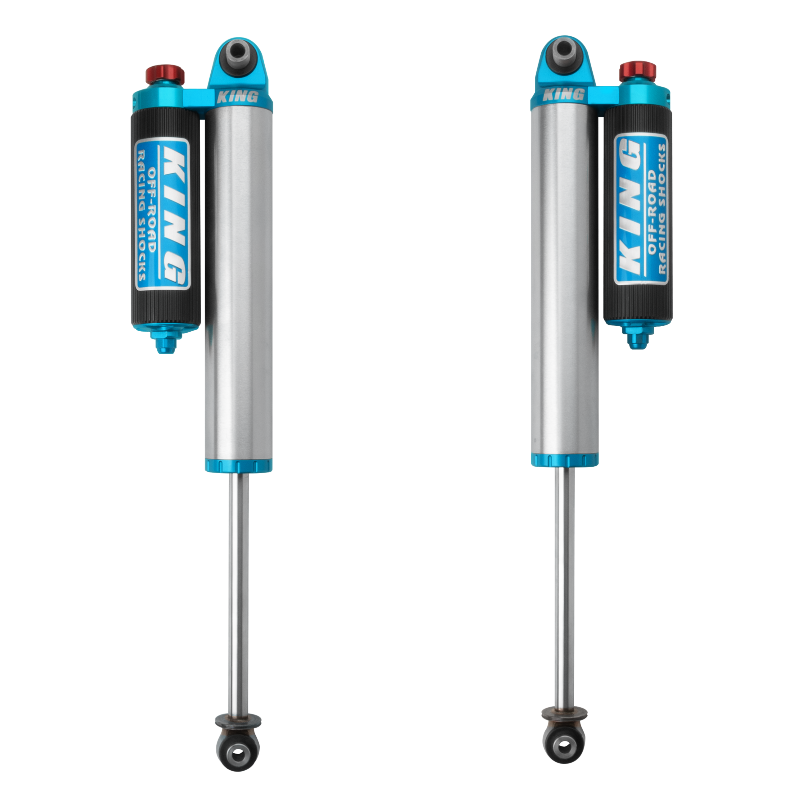 2015+ Ford Transit Van 2WD/AWD 2.5 Rear Shocks Front View