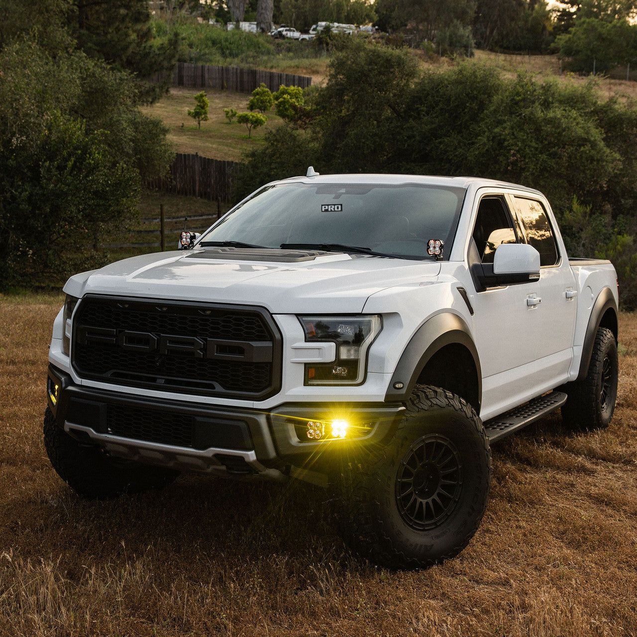 Squadron 2.0 Sport/S2 Sport Fog Pocket Light Kit - Ford 2017-20 F-150 Raptor
