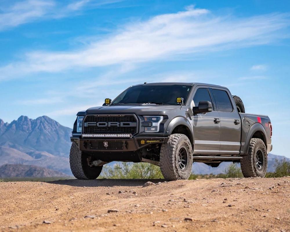 Raptor Builds