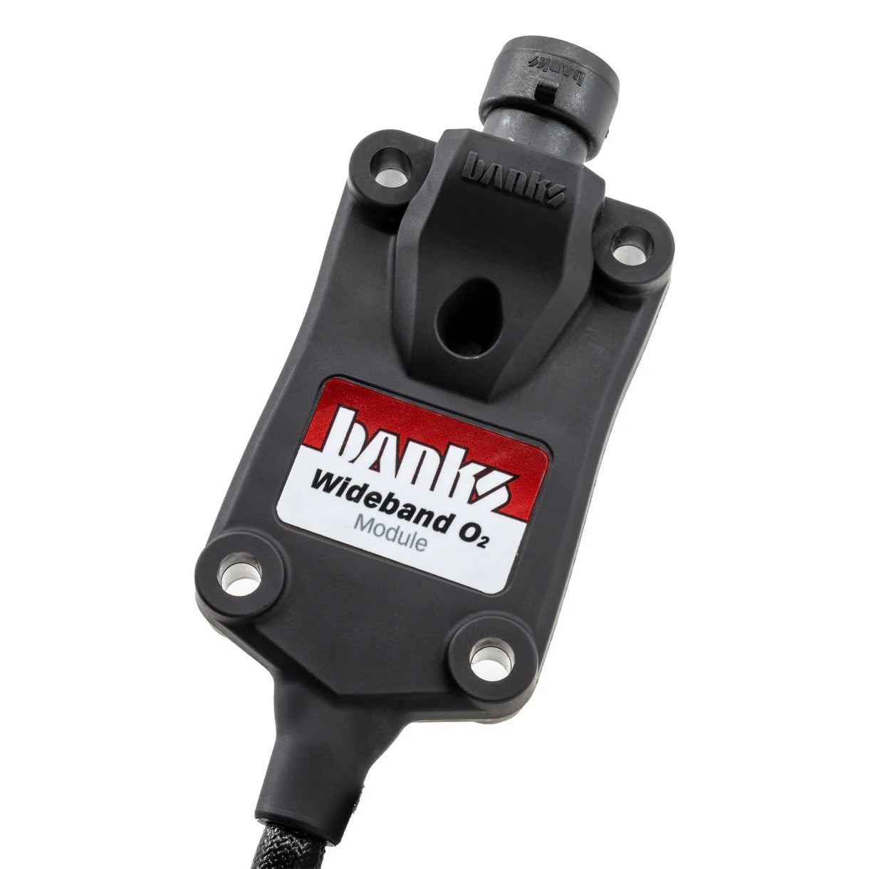 Wideband O2 AFR Module