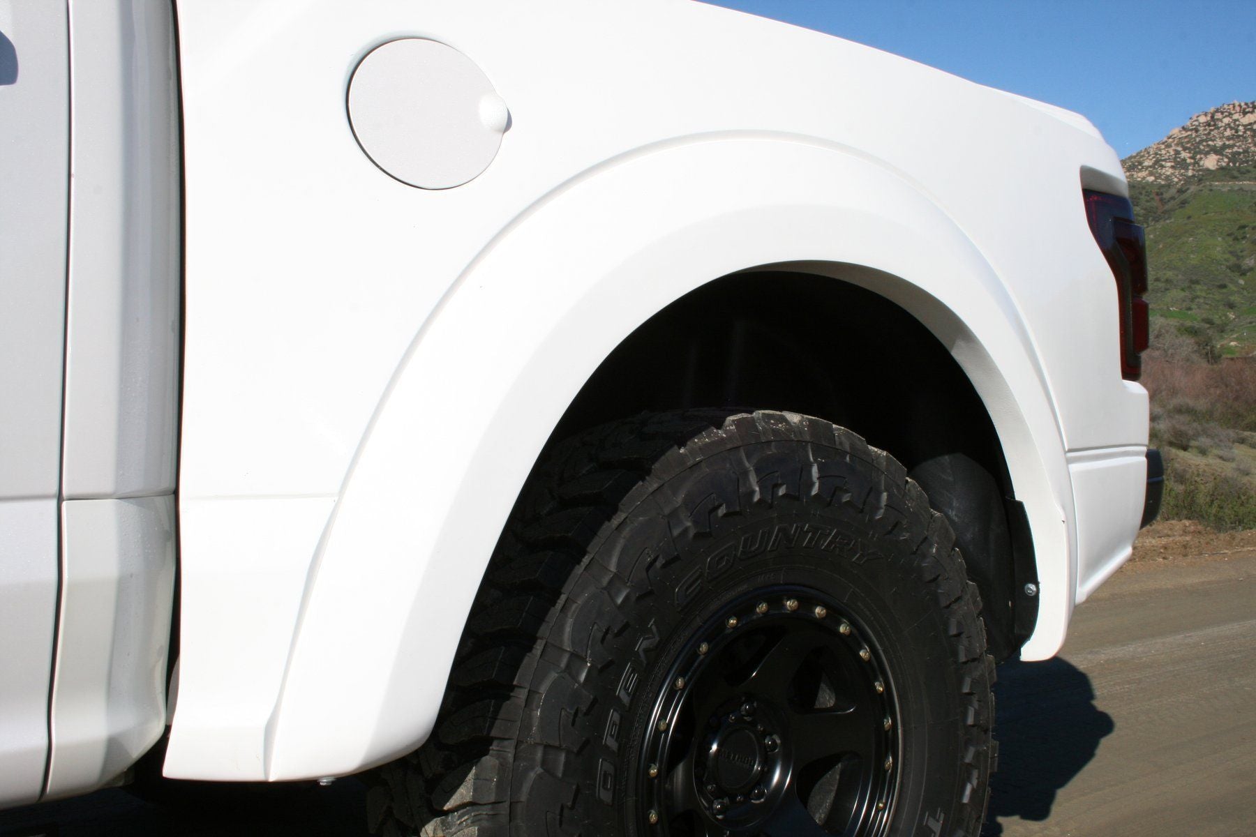 Fiberwerx | Ford Raptor
