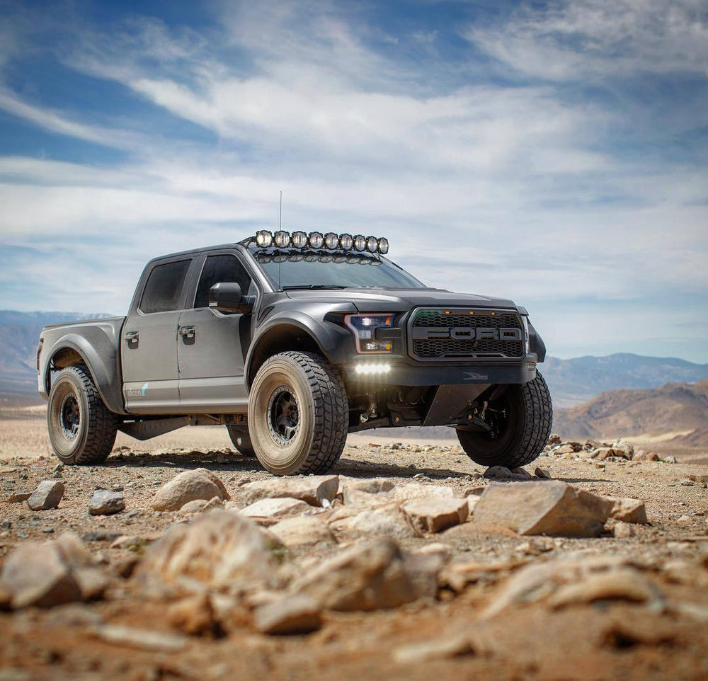 Fiberwerx | Ford Raptor