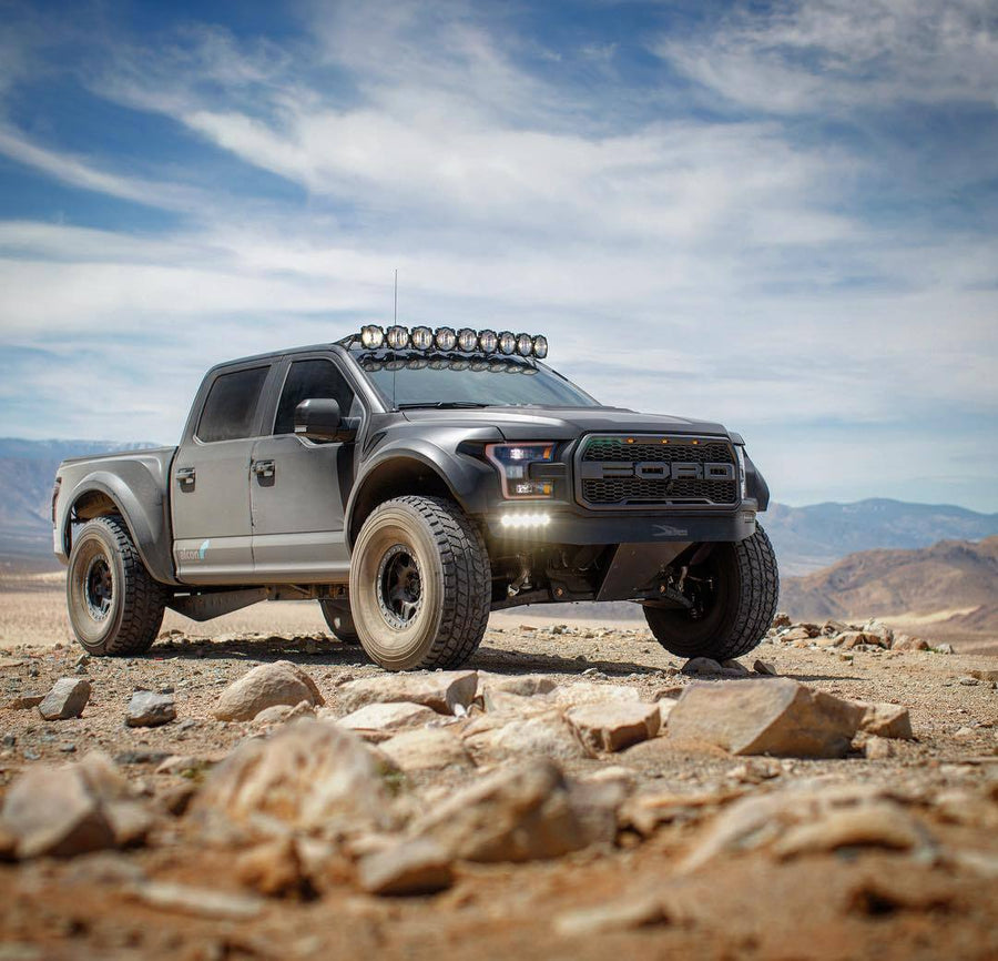 Fiberwerx | Ford Raptor