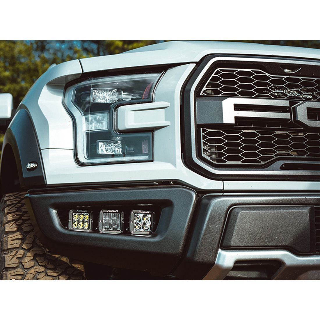 17-18 Ford Rator Fog Mount Kit Lighting Rigid Industries With D-Series Lights display