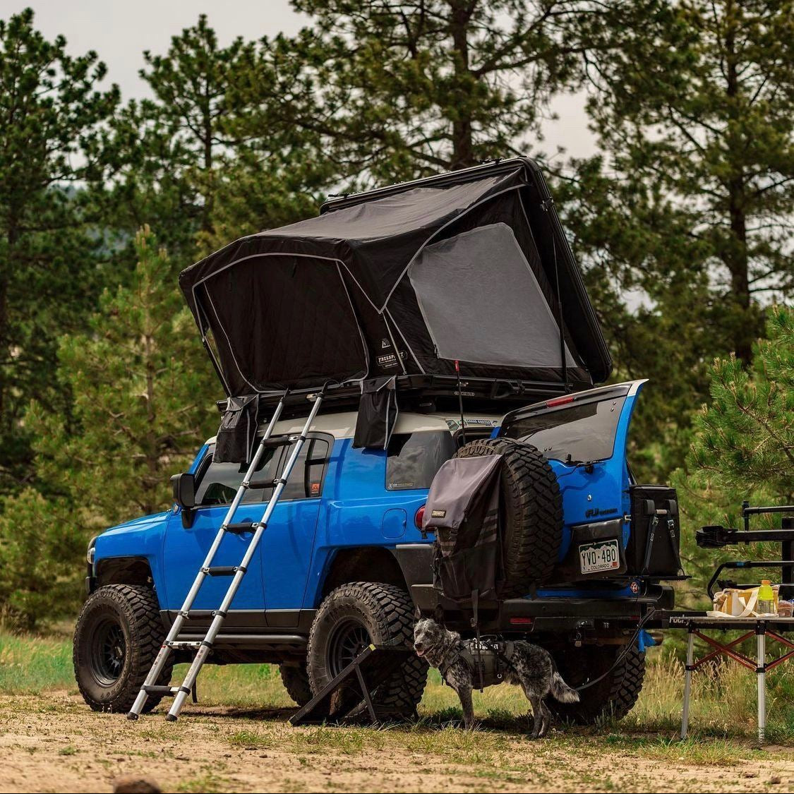 Freespirit Recreation Odyssey Series Hard Top 49